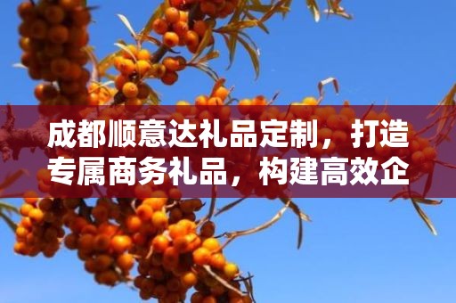 成都顺意达礼品定制，打造专属商务礼品，构建高效企承礼品供应链