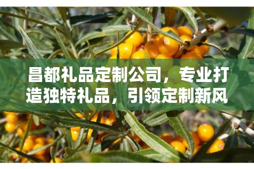 昌都礼品定制公司，专业打造独特礼品，引领定制新风尚