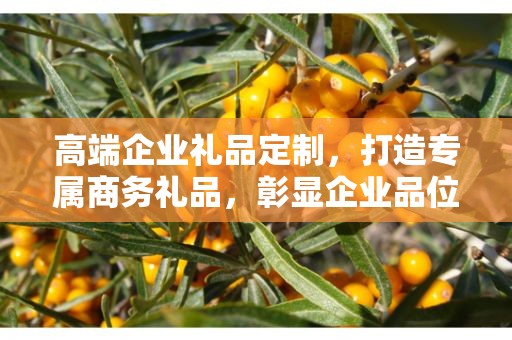高端企业礼品定制，打造专属商务礼品，彰显企业品位
