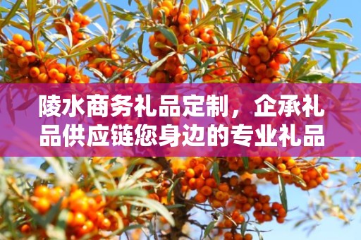 陵水商务礼品定制，企承礼品供应链您身边的专业礼品定制公司