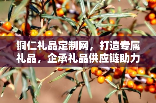 铜仁礼品定制网，打造专属礼品，企承礼品供应链助力商务往来