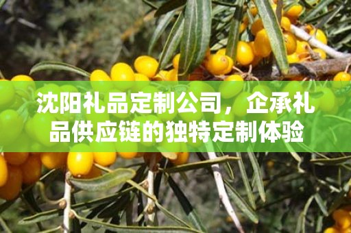 沈阳礼品定制公司，企承礼品供应链的独特定制体验