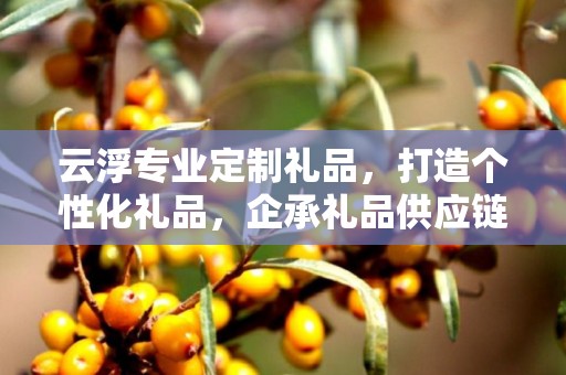 云浮专业定制礼品，打造个性化礼品，企承礼品供应链助力商务发展