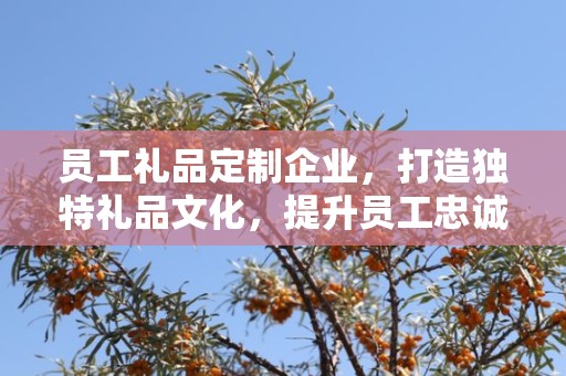 员工礼品定制企业，打造独特礼品文化，提升员工忠诚度