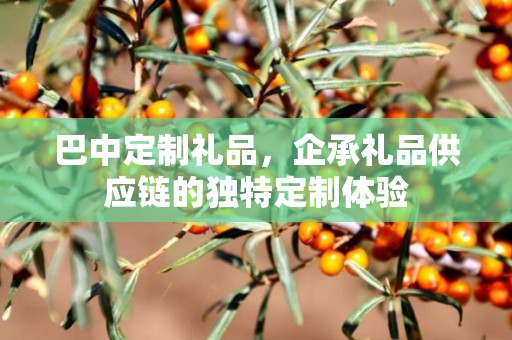 巴中定制礼品，企承礼品供应链的独特定制体验