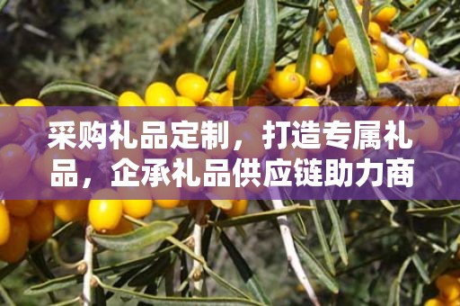 采购礼品定制，打造专属礼品，企承礼品供应链助力商务发展